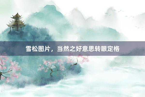 雪松图片，当然之好意思转眼定格