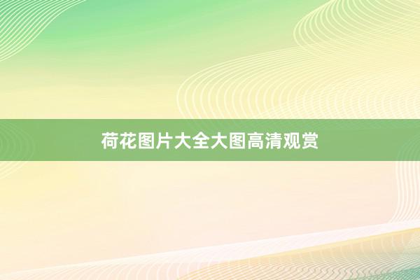 荷花图片大全大图高清观赏
