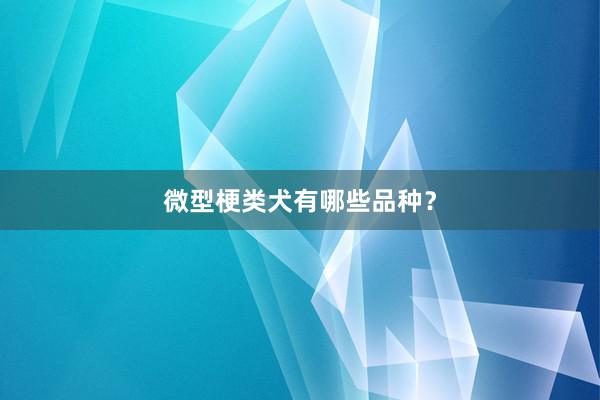 微型梗类犬有哪些品种？