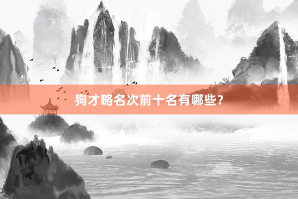 狗才略名次前十名有哪些？